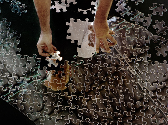 Mircea Cantor, One Piece, the Same, puzzle