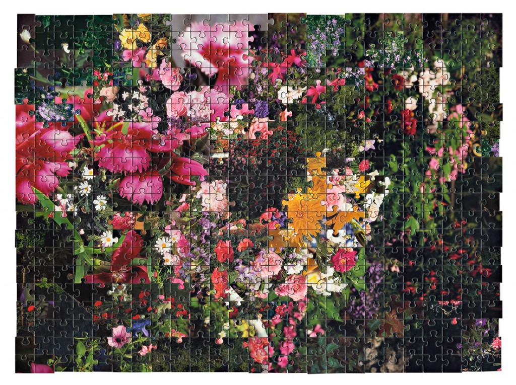 Kent Rogowski Jigsaw puzzle & art